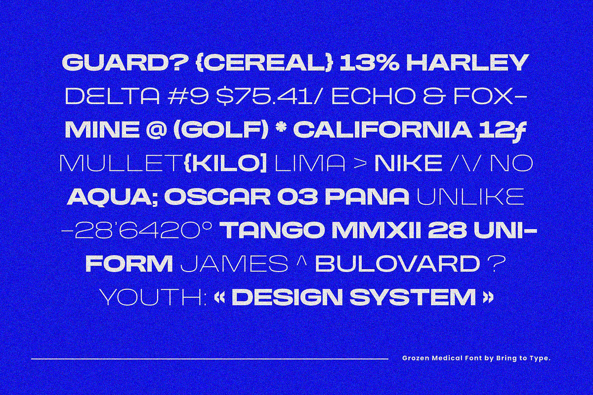 GROZEN MEDICAL - Extended Grotesk, a Sans Serif Font by Bring To Type (Photo 4 of 11)