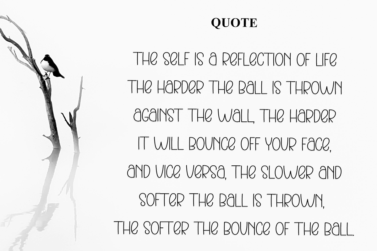 Perfect Script, a Serif Font by InermediaSTUDIO (Photo 3 of 8)