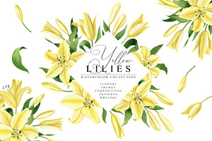 Yellow Lilies Watercolor Set