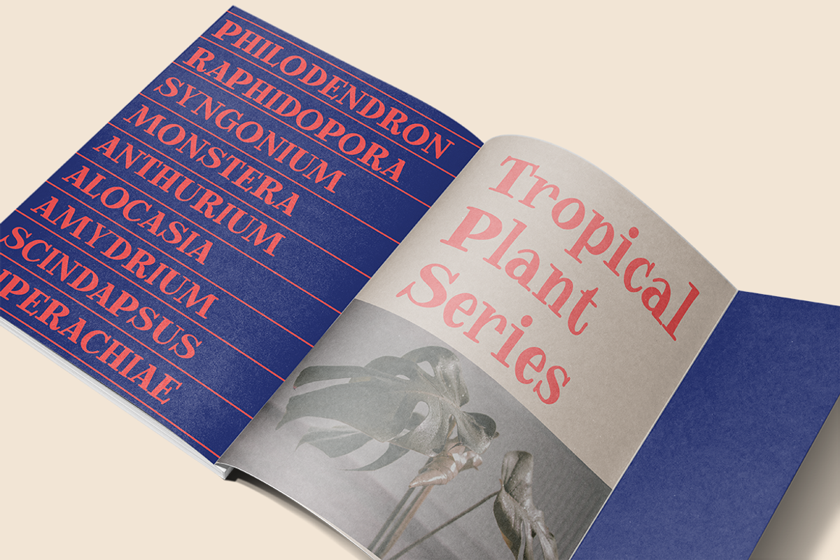 Freed Madison | A Quirky Serif Font, a Serif Font by Colllab Studio (Photo 6 of 12)