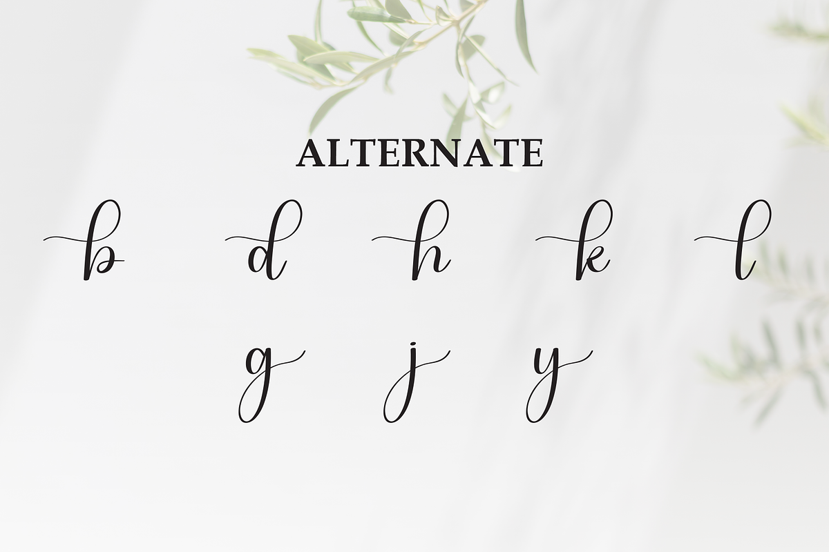 Someday | Script Font, a Handwritten Font by Scratchones (Photo 8 of 9)