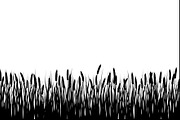 Rustic Wheat Field Vector Borders, an Illustration by hafijul (Thumbnail 9 of 9)