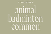 Stylebender Serif - Multi-style Font, a Serif Font by Tropical Type (Thumbnail 4 of 17)