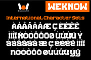 Replay Font, a Font by weknow (Thumbnail 8 of 8)