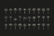 Boho palm logos, a Graphic by karnofff (Thumbnail 4 of 6)