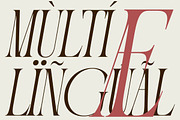 Portiso - Modern Luxury Serif, a Serif Font by Qweera Studio (Thumbnail 9 of 12)