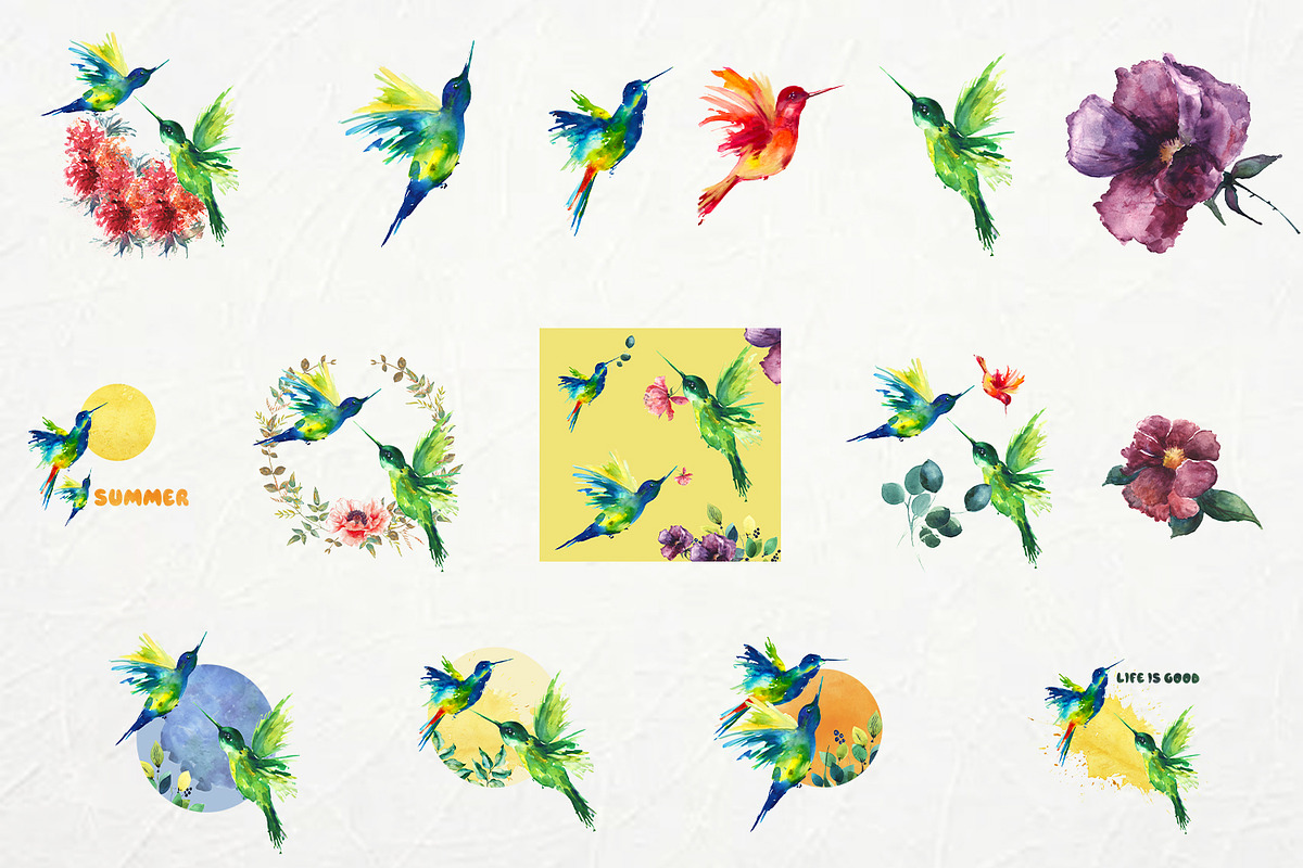 Hummingbirds. PNG.Watercolour, an Illustration by ElliaArt (Photo 10 of 10)