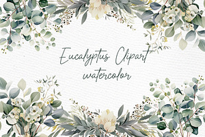 Greenery Watercolor PNG Eucalyptus