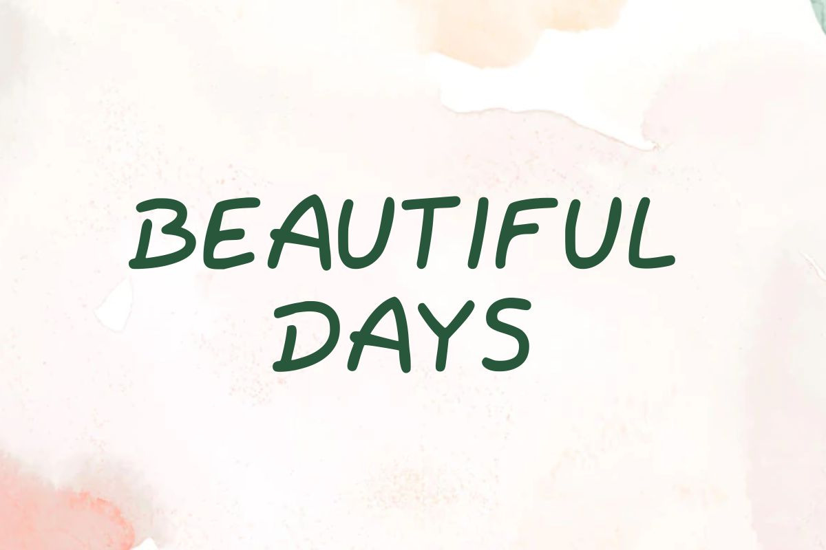 Chicken Dinner - Simple Font, a Handwritten Font by Fourteen Letter (Photo 3 of 7)