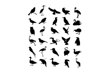 Bird silhouette