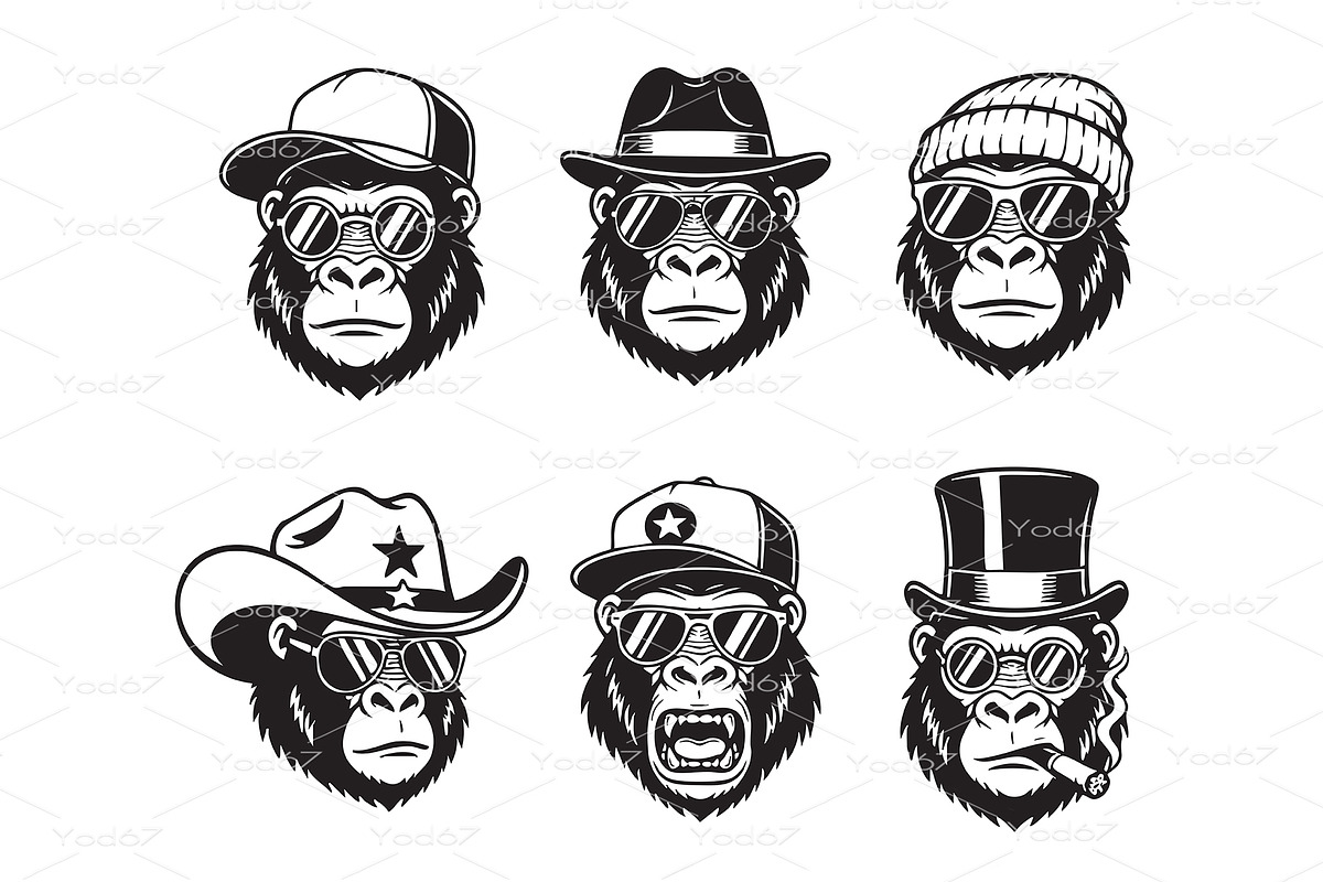 Gorilla heads wearing diverse hats, an Animal Illustration by yod67