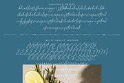 Islandias Beachlife, a Handwritten Font by operatype.co (Thumbnail 14 of 15)