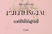 Megain Ligature Serif Typeface, a Serif Font by Humaira_std (Thumbnail 12 of 14)