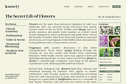 Elegant Serif for Luxury – Veluxa, a Serif Font by roomspace creative lab (Thumbnail 2 of 15)