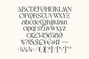 Aveltin Elegant Stylish Serif Font, a Serif Font by Heinzel Std (Thumbnail 15 of 16)