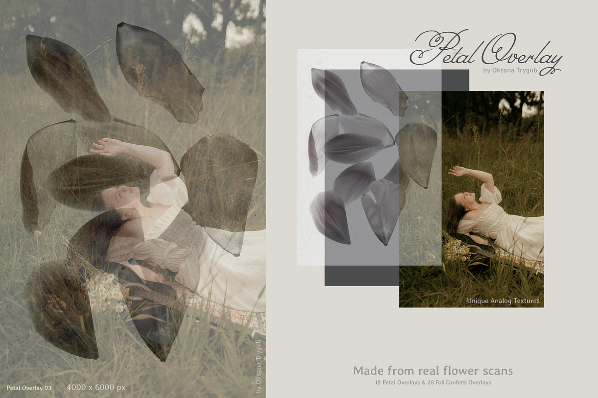 Flower Petal Textures & Foil Overlay, a Texture Graphic by Oksana Trygub (Photo 13 of 28)