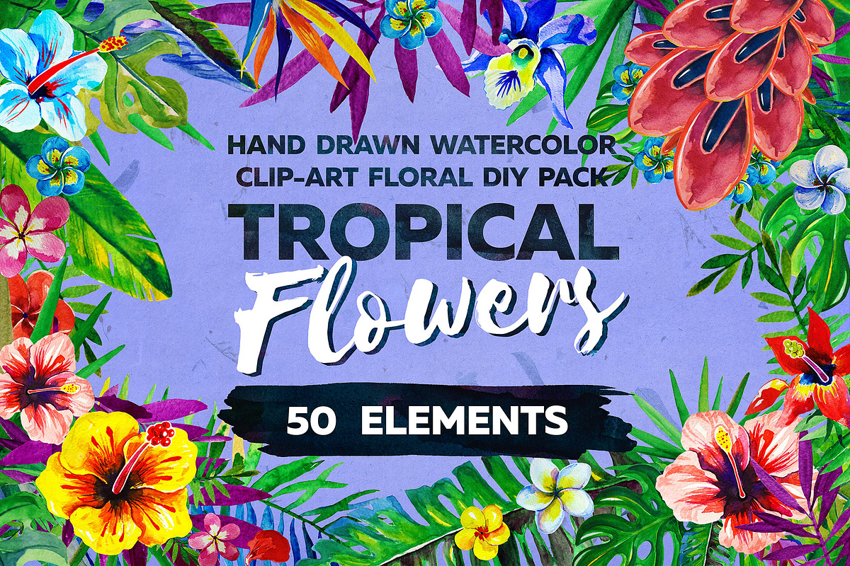 Watercolor Tropical Flowers, a Decorative Illustration by BLAZTIGRA (Photo 1 of 6)