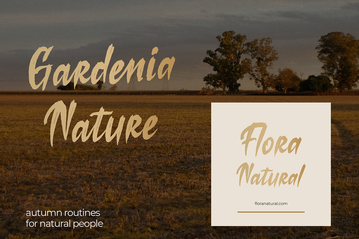 Losiento | Brush Handwritten Font, a Handwritten Font by Denustudios (Photo 8 of 15)