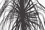 Herbarium: Set 1, a Decorative Illustration by Texture Fabrik (Thumbnail 13 of 19)