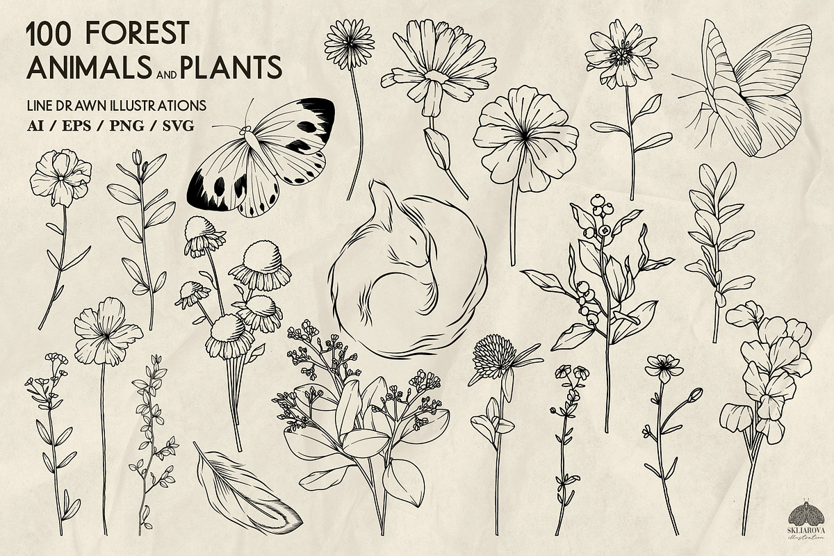 Forest Life Line Art + Procreate, an Object Illustration by Skliarova (Photo 3 of 6)