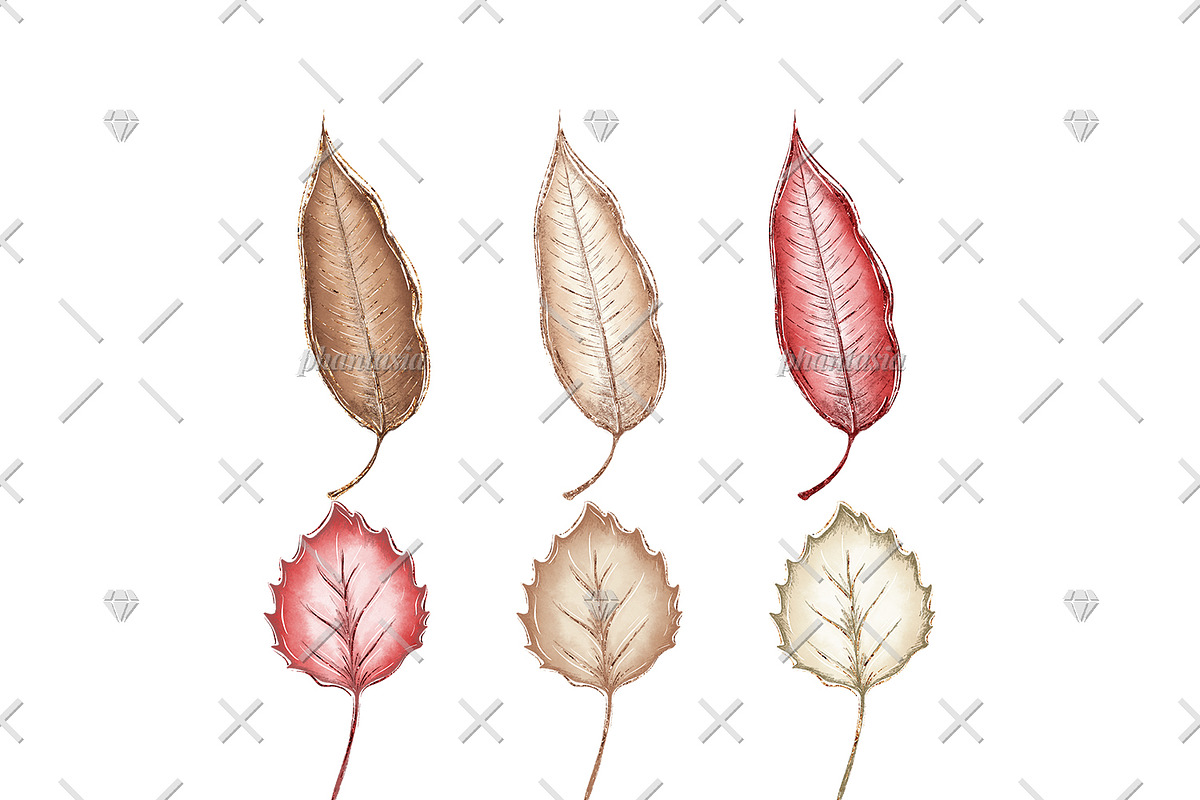 Alpaca Cliparts, an Illustration by Phantasia Design (Photo 8 of 8)