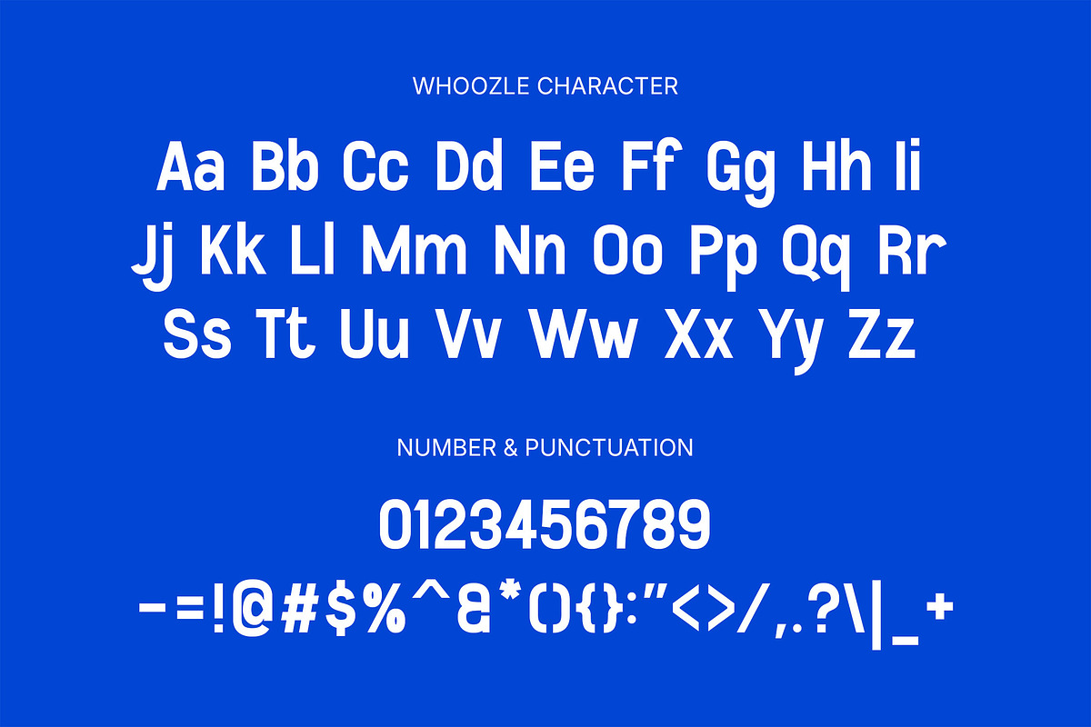 Whoozle - Modern Font Combination, a Sans Serif Font by Youthlabs Studio (Photo 13 of 13)