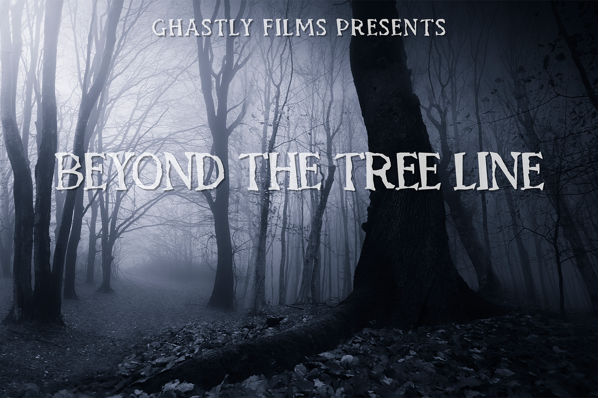 Hauntings Serif Font, a Serif Font by Beck McCormick (Photo 2 of 10)