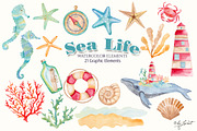 Sea Life Watercolor, an Illustration by helloPAPER (Thumbnail 2 of 2)