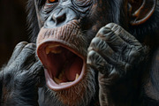 236 surprised animals, an Animal Photo by Handmadefont (Thumbnail 50 of 241)