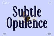 CS Miguela Drawn, a Serif Font by Craft Supply Co. (Thumbnail 6 of 8)