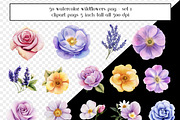 50 Watercolor Painted Wildflowers, an Object Graphic by AllTheKewtClipart (Thumbnail 5 of 5)