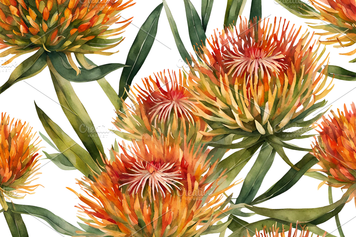 Pincushion Protea Flowers, a Decorative Illustration by Karliefie (Photo 8 of 8)