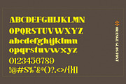Orange Glos, a Serif Font by Gatype (Thumbnail 8 of 8)
