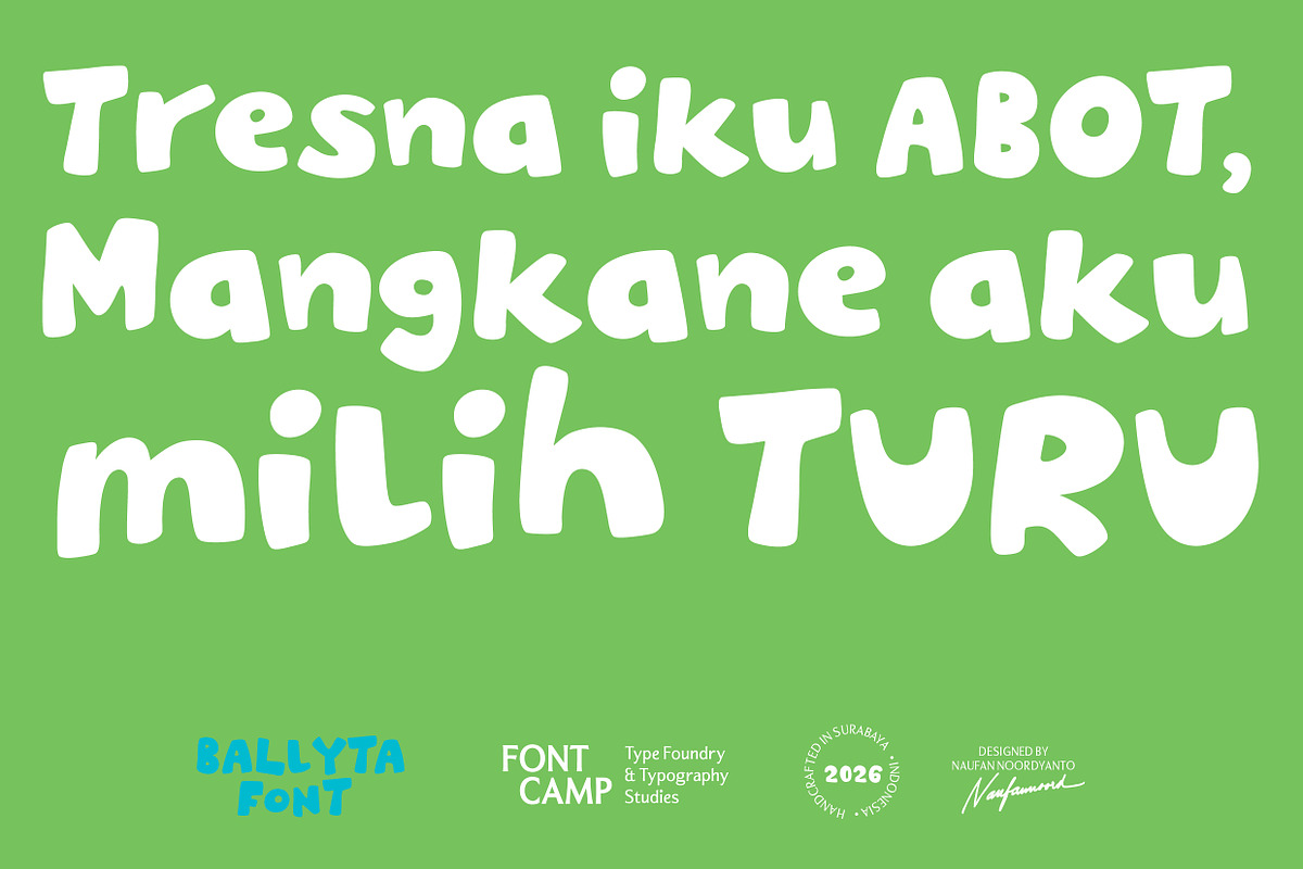 Ballyta Font, a Handwritten Font by Fontcamp Type Foundry (Photo 14 of 18)
