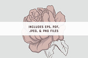 FLORA | 7 Vector Illustrations, an Illustration by Britt & Kit (Thumbnail 4 of 4)