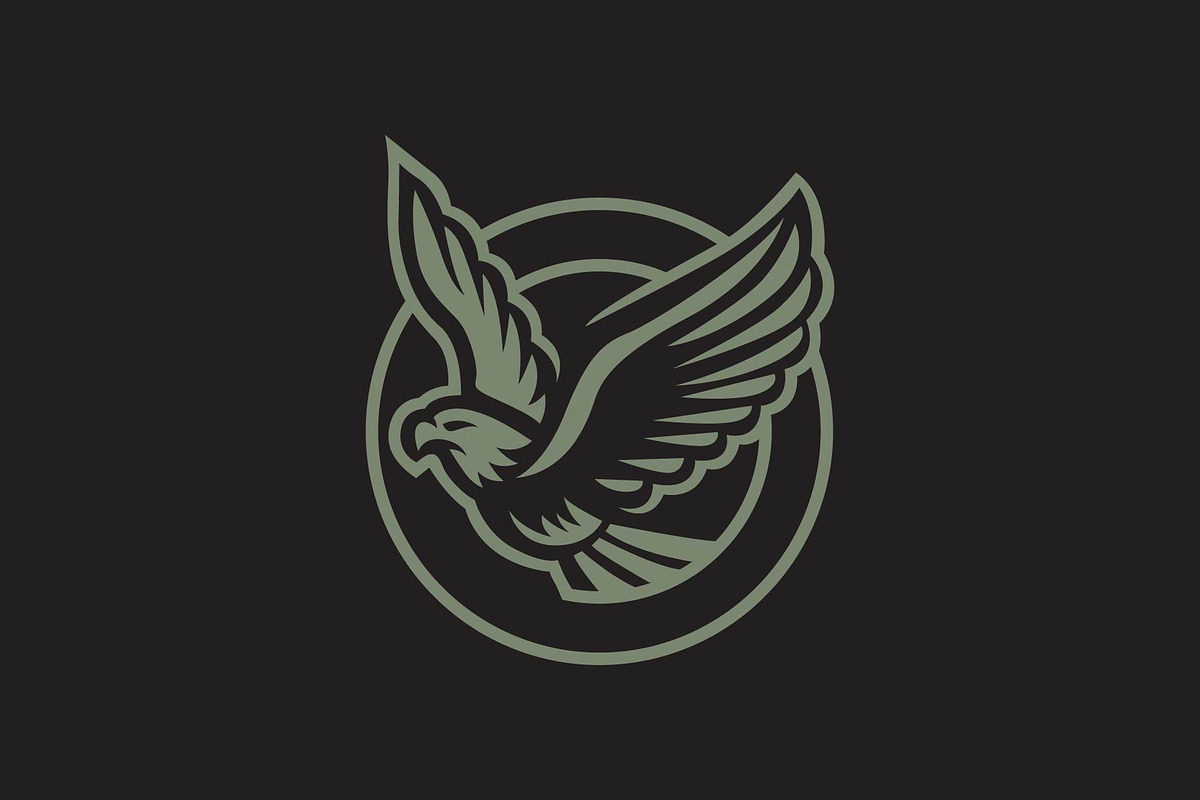 Flying Eagle Hawk Falcon bird logo, a Branding & Logo Template by funpixel