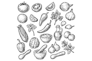 Mexican Cuisine Ingredients and Sals, an Object Graphic by RT Studio (Thumbnail 3 of 3)