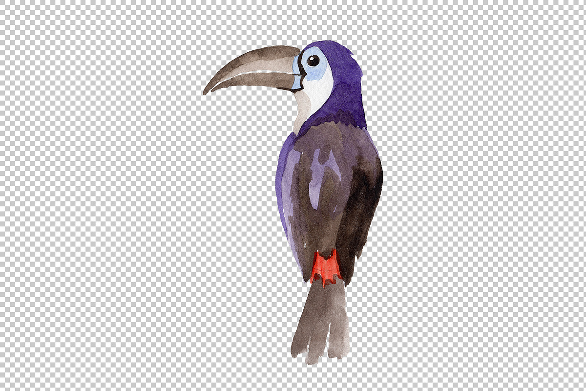 Tropical bird toucan PNG watercolor, an Illustration by WatercolorPNG.com
