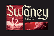 Classic Blackletter Font - Panderly, a Blackletter Font by Say Studio (Thumbnail 9 of 11)
