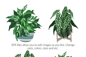 Indoor Plants, Vector Set