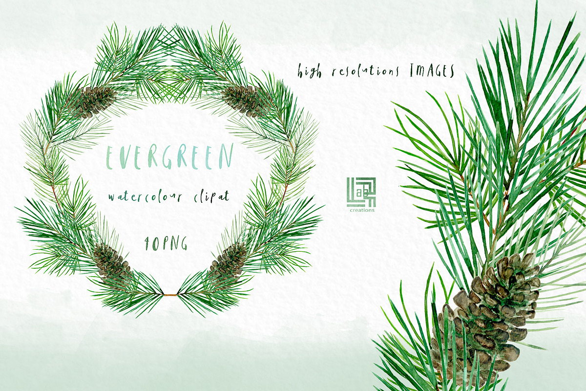 Pine. Watercolor clipart, an Illustration by LABFcreations (Photo 1 of 9)