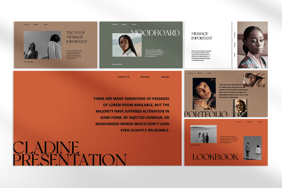 Cladine Presentation Template preview 5