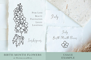 Outline Floral Vector Bundle Clipart