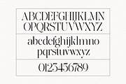 The Effolia | 9-Weight Classy Family, a Serif Font by Pista Mova (Thumbnail 17 of 31)