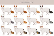 Turkish Van cat clip art, an Animal Illustration by pet design shop (Thumbnail 2 of 5)