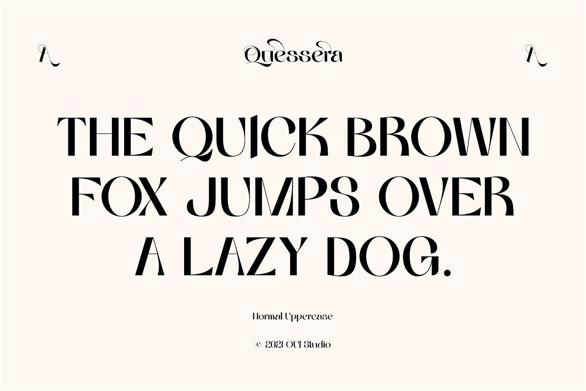 Quessera Font, a Sans Serif Font by Oui Studio (Photo 3 of 21)
