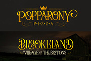 The Wallington Pro, a Serif Font by Zeune Type Foundry (Thumbnail 6 of 7)