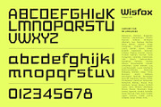 Wisfox, a Symbol Font by Ditatype (Thumbnail 7 of 16)
