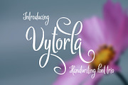 Vytorla Font Trio, a Script Font by Digital Typeface Studio (Thumbnail 1 of 11)