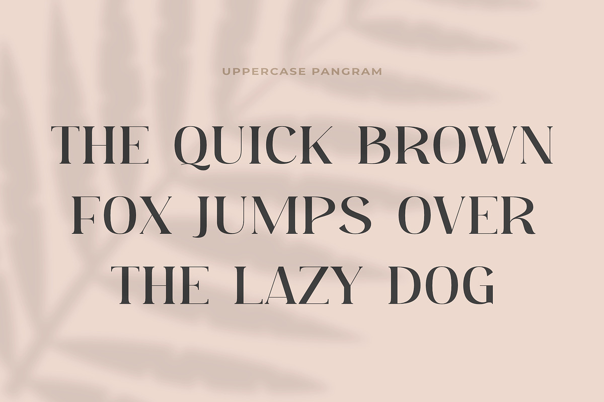 Moebngaders | A Modern Sans Serif, a Serif Font by Andrimada Creative (Photo 8 of 12)